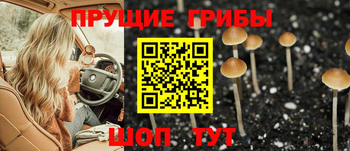 Псилоцибиновые грибы GOLDEN TEACHER  Вход с VPN  Черемхово 